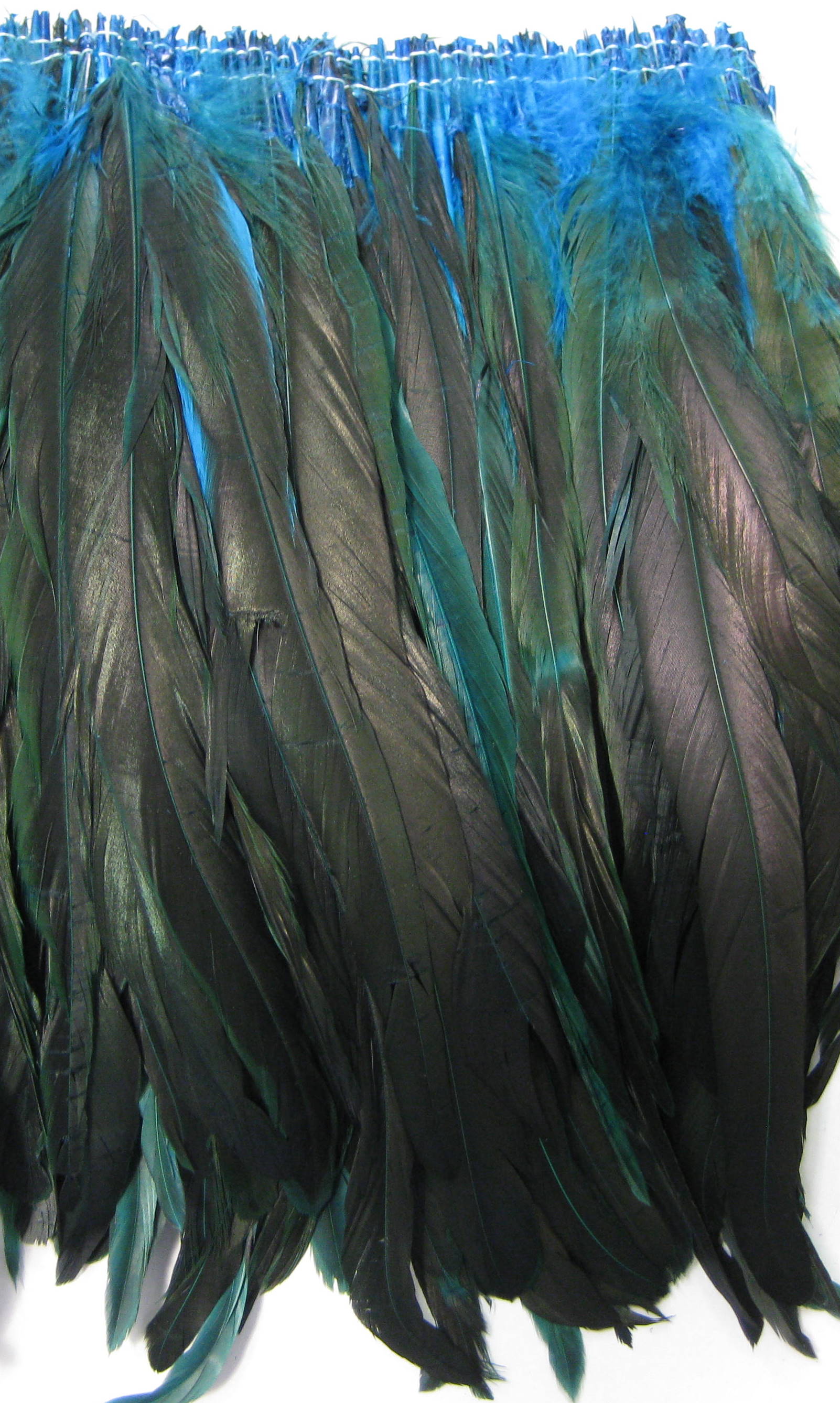 COCK FEATHER